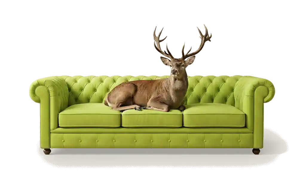 Mon Avenue — Les meilleures boutiques